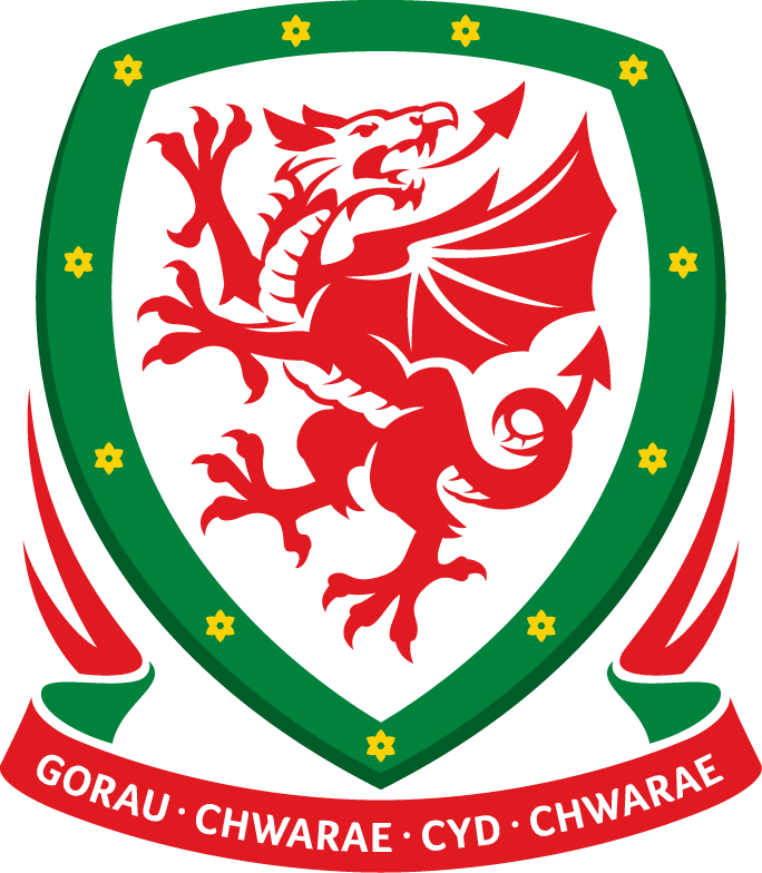 UEFA Wales 2010-Pres Primary Logo iron on transfers